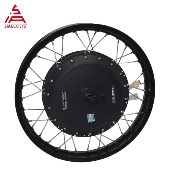 E Bicycle Hub Motor QS273 V3 Electric Motor for Bicycle